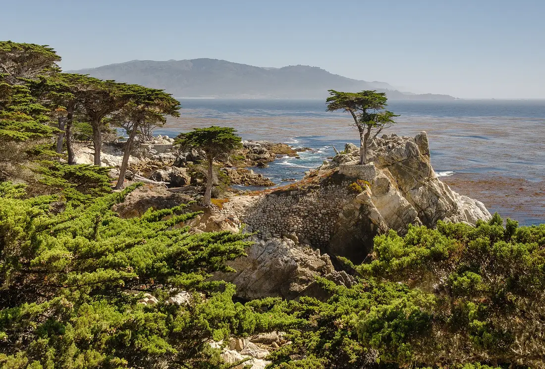 The Lone Cypress on its granite outcrop above Carmel Bay